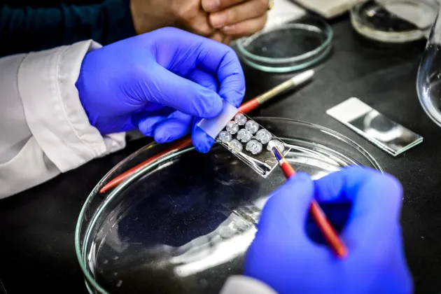 View of two hands in a research-based photo