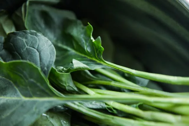 Leafly greens