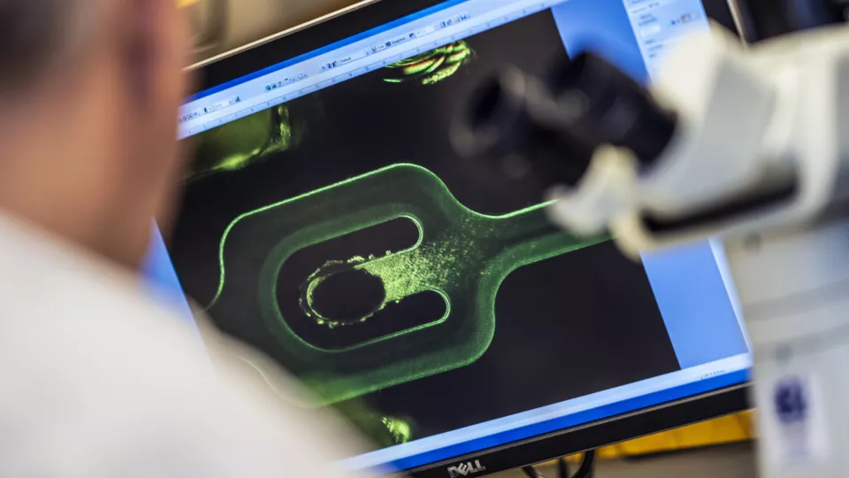 En person tittar på en bild av en datorskärm med en bioteknisk lösning