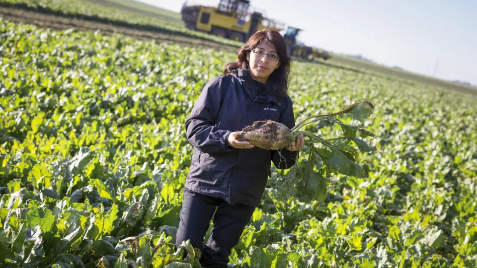Scientist stands in a field