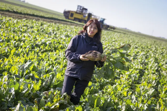 Scientist stands in a field