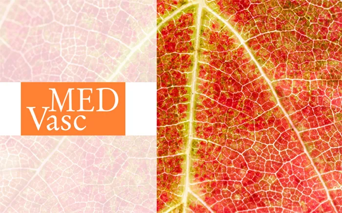 MedVasc, logotyp och bild på löv 